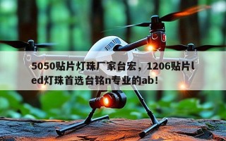 5050贴片灯珠厂家台宏，1206贴片led灯珠首选台铭n专业的ab！