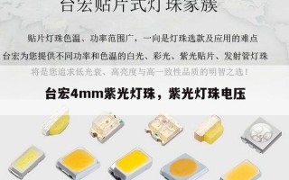 台宏4mm紫光灯珠，紫光灯珠电压