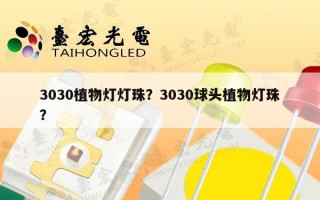 3030植物灯灯珠？3030球头植物灯珠？
