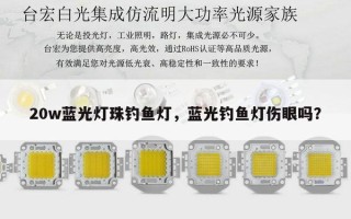 20w蓝光灯珠钓鱼灯，蓝光钓鱼灯伤眼吗？