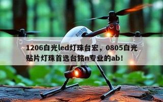 1206白光led灯珠台宏，0805白光贴片灯珠首选台铭n专业的ab！