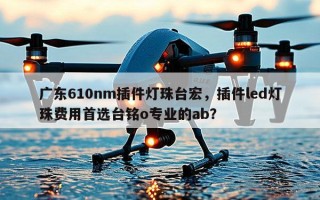 广东610nm插件灯珠台宏，插件led灯珠费用首选台铭o专业的ab？