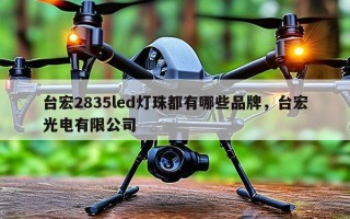 台宏2835led灯珠都有哪些品牌，台宏光电有限公司