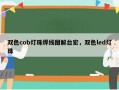 双色cob灯珠焊线图解台宏，双色led灯珠