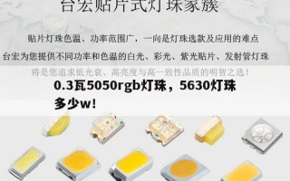 0.3瓦5050rgb灯珠，5630灯珠多少w！