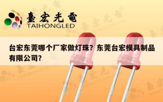 台宏东莞哪个厂家做灯珠？东莞台宏模具制品有限公司？