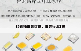 f5直插白光灯珠，白光led灯珠