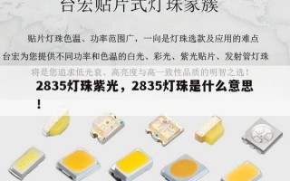 2835灯珠紫光，2835灯珠是什么意思！