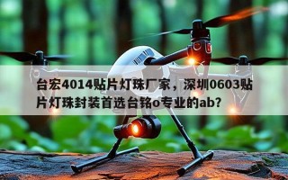台宏4014贴片灯珠厂家，深圳0603贴片灯珠封装首选台铭o专业的ab？