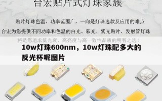 10w灯珠600nm，10w灯珠配多大的反光杯呢图片