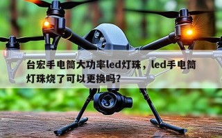 台宏手电筒大功率led灯珠，led手电筒灯珠烧了可以更换吗？