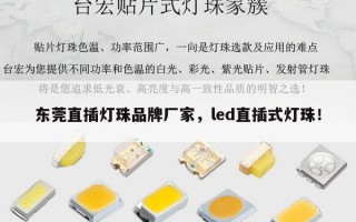 东莞直插灯珠品牌厂家，led直插式灯珠！