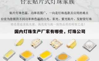 国内灯珠生产厂家有哪些，灯珠公司