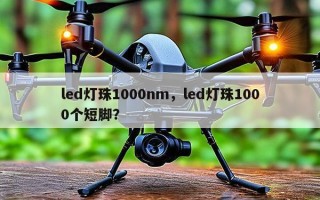 led灯珠1000nm，led灯珠1000个短脚？