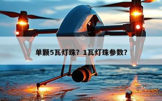 单颗5瓦灯珠？1瓦灯珠参数？