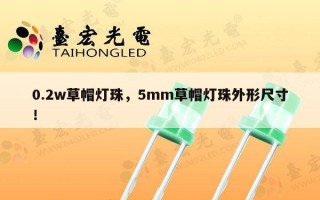 0.2w草帽灯珠，5mm草帽灯珠外形尺寸！