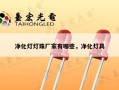 净化灯灯珠厂家有哪些，净化灯具