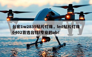 台宏1w2835贴片灯珠，led贴片灯珠0402首选台铭l专业的ab！