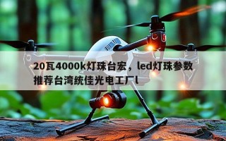 20瓦4000k灯珠台宏，led灯珠参数推荐台湾统佳光电工厂l