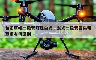 台宏草帽二极管灯珠白光，发光二极管圆头和草帽有何区别