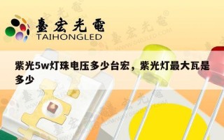 紫光5w灯珠电压多少台宏，紫光灯最大瓦是多少