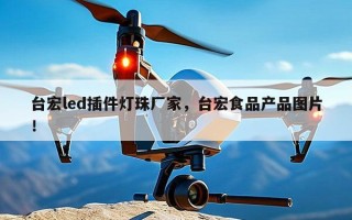 台宏led插件灯珠厂家，台宏食品产品图片！