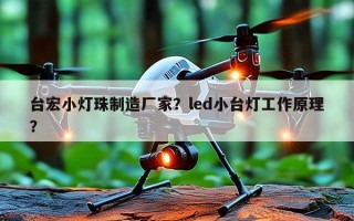 台宏小灯珠制造厂家？led小台灯工作原理？