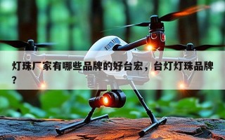 灯珠厂家有哪些品牌的好台宏，台灯灯珠品牌？