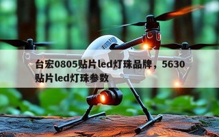 台宏0805贴片led灯珠品牌，5630贴片led灯珠参数