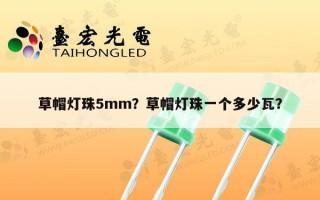 草帽灯珠5mm？草帽灯珠一个多少瓦？