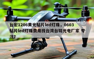台宏1206黄光贴片led灯珠，0603贴片led灯珠费用找台湾台铭光电厂家 专注？
