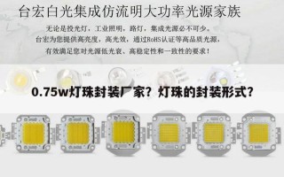 0.75w灯珠封装厂家？灯珠的封装形式？