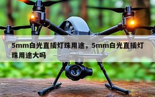 5mm白光直插灯珠用途，5mm白光直插灯珠用途大吗
