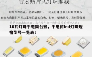10瓦灯珠手电筒台宏，手电筒led灯珠规格型号一览表！