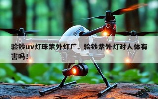 验钞uv灯珠紫外灯厂，验钞紫外灯对人体有害吗！