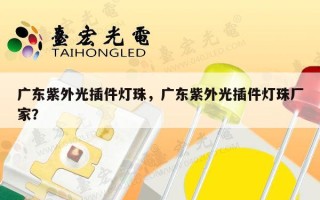 广东紫外光插件灯珠，广东紫外光插件灯珠厂家？