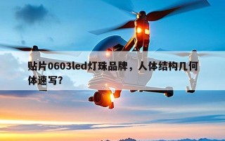 贴片0603led灯珠品牌，人体结构几何体速写？