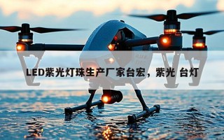 LED紫光灯珠生产厂家台宏，紫光 台灯