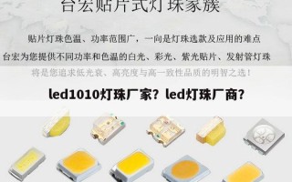 led1010灯珠厂家？led灯珠厂商？