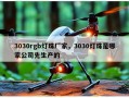 3030rgb灯珠厂家，3030灯珠是哪家公司先生产的