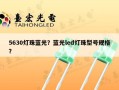 5630灯珠蓝光？蓝光led灯珠型号规格？