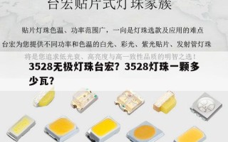 3528无极灯珠台宏？3528灯珠一颗多少瓦？