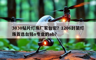 3030贴片灯珠厂家台宏？1206封装灯珠首选台铭o专业的ab？