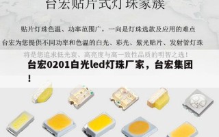 台宏0201白光led灯珠厂家，台宏集团！