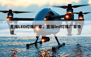 直插LED灯珠厂家，直插led灯珠厂家电话