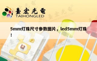 5mm灯珠尺寸参数图片，led5mm灯珠！