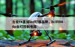 台宏f4直插led灯珠品牌，hc8t046p台灯控制电路