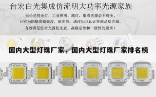 国内大型灯珠厂家，国内大型灯珠厂家排名榜