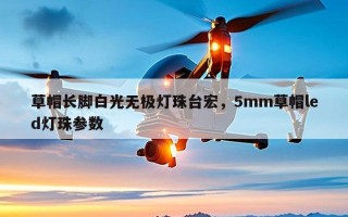 草帽长脚白光无极灯珠台宏，5mm草帽led灯珠参数