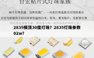 2835模顶30度灯珠？2835灯珠参数02w？